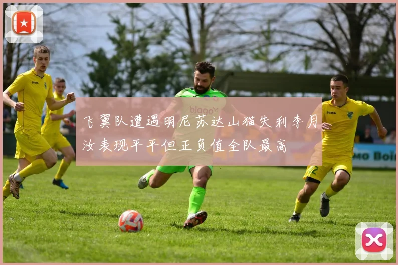 飞翼队遭遇明尼苏达山猫失利李月汝表现平平但正负值全队最高