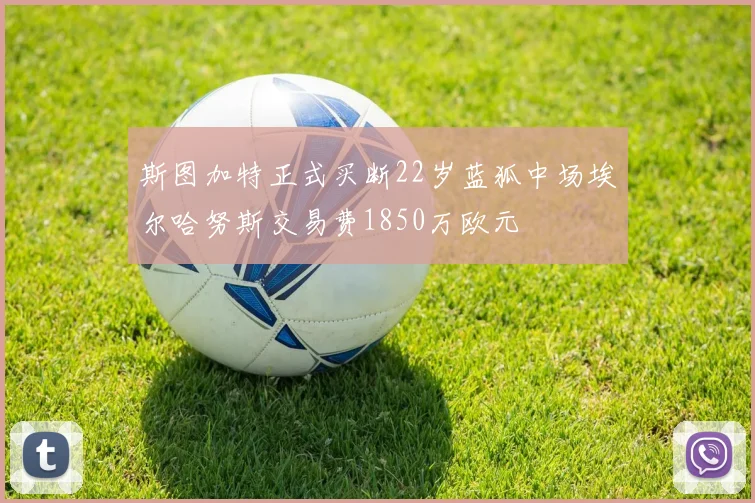 斯图加特正式买断22岁蓝狐中场埃尔哈努斯交易费1850万欧元
